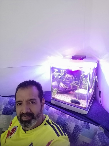 encuentra pareja