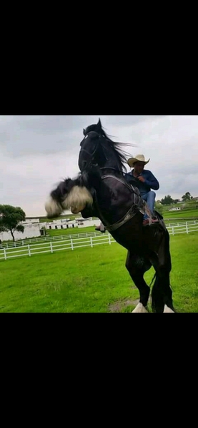 encuentra pareja