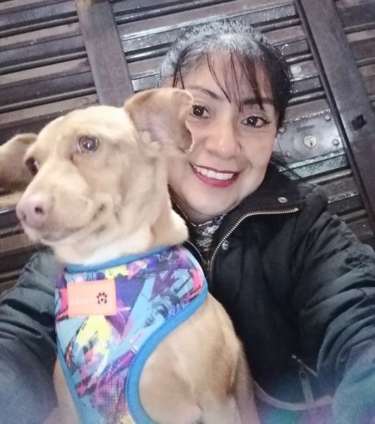 encuentra pareja